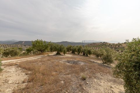 Terra a Jayena, Granada, Jayena - € 68.900 | Ref: 03487/8251 - foto 7