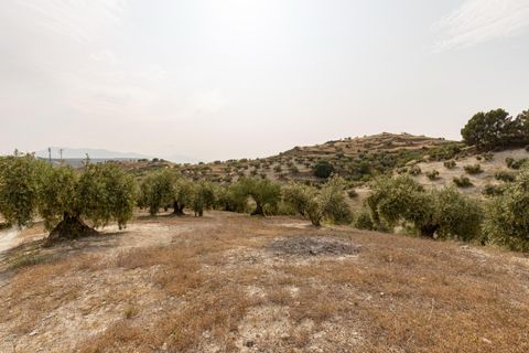 Terra a Jayena, Granada, Jayena - € 68.900 | Ref: 03487/8251 - foto 8
