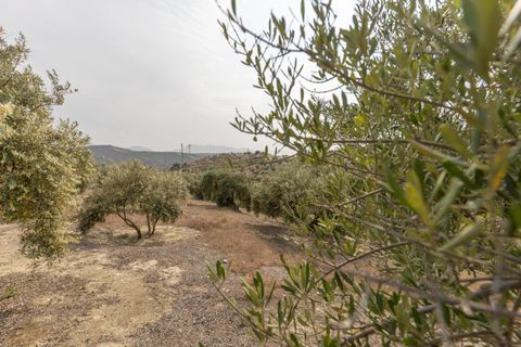 Terra a Jayena, Granada, Jayena - € 68.900 | Ref: 03487/8251 - foto 9