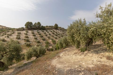 Terra a Jayena, Granada, Jayena - € 68.900 | Ref: 03487/8251 - foto 10