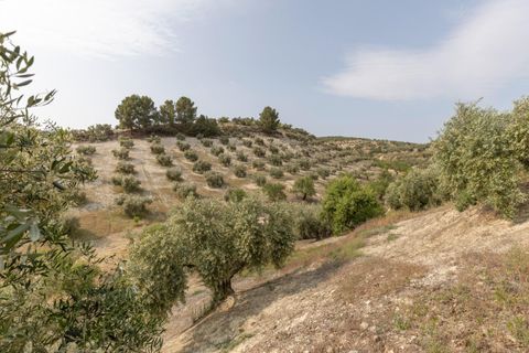 Terra a Jayena, Granada, Jayena - € 68.900 | Ref: 03487/8251 - foto 11