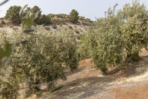 Terra a Jayena, Granada, Jayena - € 68.900 | Ref: 03487/8251 - foto 14