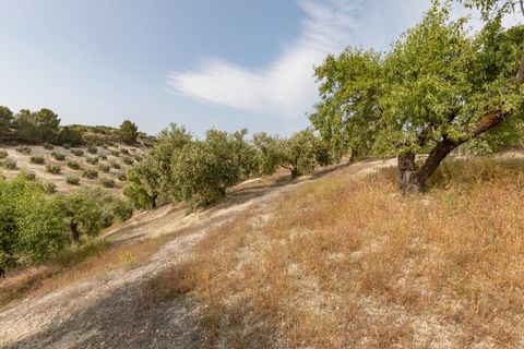 Terra a Jayena, Granada, Jayena - € 68.900 | Ref: 03487/8251 - foto 16
