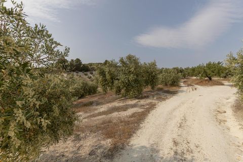 Terra a Jayena, Granada, Jayena - € 68.900 | Ref: 03487/8251 - foto 17