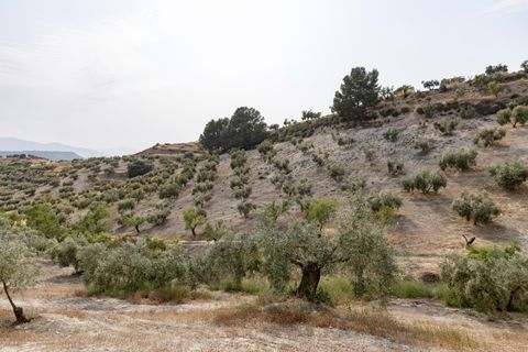 Terra a Jayena, Granada, Jayena - € 68.900 | Ref: 03487/8251 - foto 18
