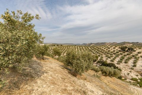 Terra a Jayena, Granada, Jayena - € 68.900 | Ref: 03487/8251 - foto 21