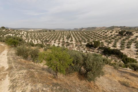 Terra a Jayena, Granada, Jayena - € 68.900 | Ref: 03487/8251 - foto 22