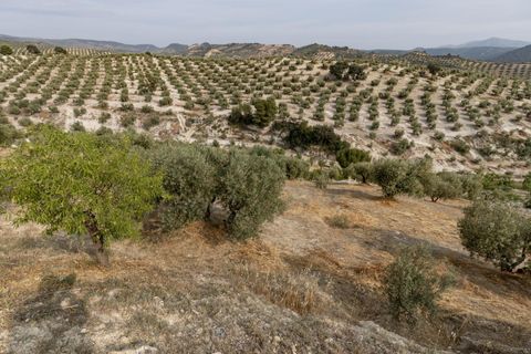 Terra a Jayena, Granada, Jayena - € 68.900 | Ref: 03487/8251 - foto 23