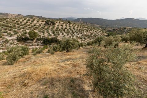 Terra a Jayena, Granada, Jayena - € 68.900 | Ref: 03487/8251 - foto 24