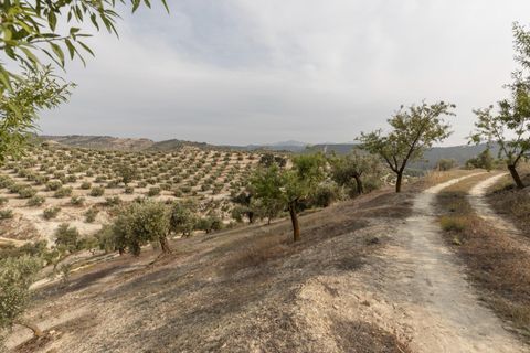 Terra a Jayena, Granada, Jayena - € 68.900 | Ref: 03487/8251 - foto 26