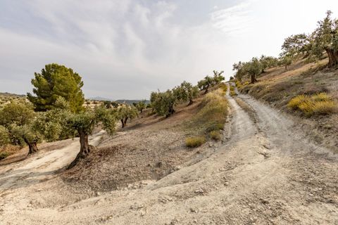 Terra a Jayena, Granada, Jayena - € 68.900 | Ref: 03487/8251 - foto 27