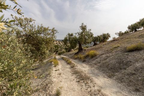 Terra a Jayena, Granada, Jayena - € 68.900 | Ref: 03487/8251 - foto 28