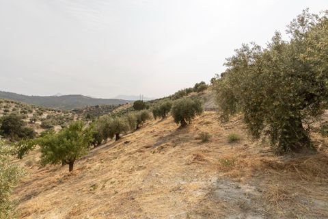 Terra a Jayena, Granada, Jayena - € 68.900 | Ref: 03487/8251 - foto 29