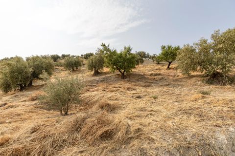 Terra a Jayena, Granada, Jayena - € 68.900 | Ref: 03487/8251 - foto 30