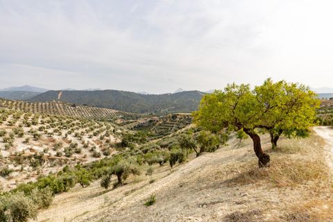 Terra a Jayena, Granada, Jayena - € 68.900 | Ref: 03487/8251 - foto 33