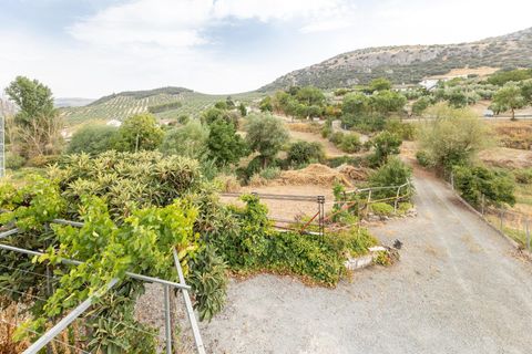 Landejendom i Colomera, Granada, Colomera - € 129.000 | Ref: 18564CA001/8251 - foto 13