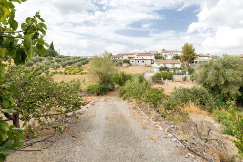 Landejendom i Colomera, Granada, Colomera - € 129.000 | Ref: 18564CA001/8251 - foto 26