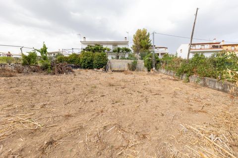 Landejendom i Colomera, Granada, Colomera - € 129.000 | Ref: 18564CA001/8251 - foto 28