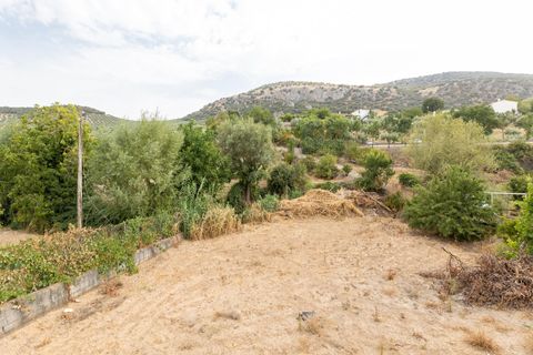 Landejendom i Colomera, Granada, Colomera - € 129.000 | Ref: 18564CA001/8251 - foto 29