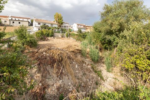 Landejendom i Colomera, Granada, Colomera - € 129.000 | Ref: 18564CA001/8251 - foto 37