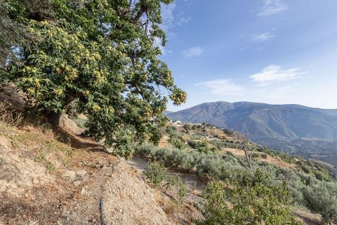 Landejendom i Canar, Granada, Canar - € 350.000 | Ref: CANAR/8251 - foto 30