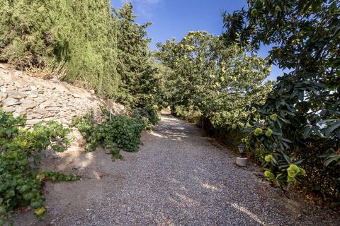 Landejendom i Canar, Granada, Canar - € 350.000 | Ref: CANAR/8251 - foto 35