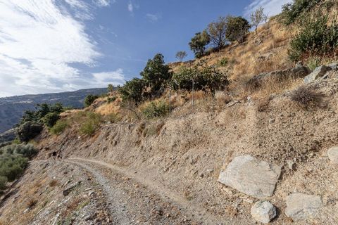 Landejendom i Canar, Granada, Canar - € 350.000 | Ref: CANAR/8251 - foto 39