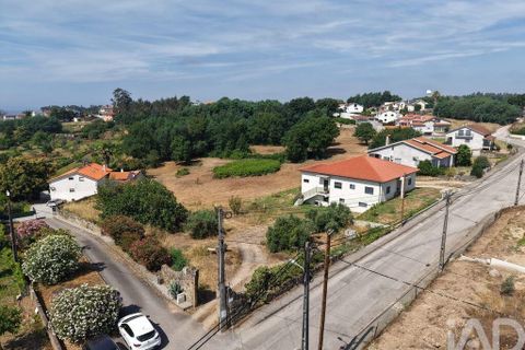 Terra a Santa Comba Dao, Viseu, Santa Comba Dao - € 75.000 | Ref: 950279 - foto 2