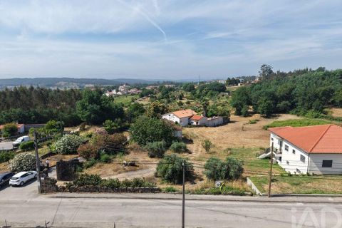 Terra a Santa Comba Dao, Viseu, Santa Comba Dao - € 75.000 | Ref: 950279 - foto 3