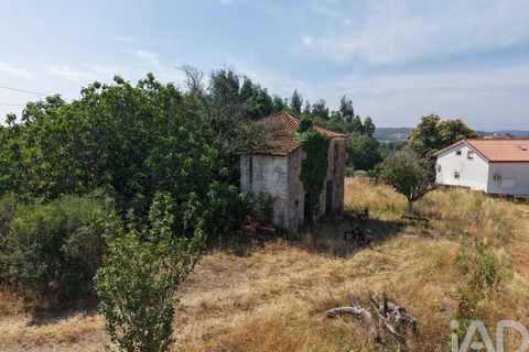 Terra a Santa Comba Dao, Viseu, Santa Comba Dao - € 75.000 | Ref: 950279 - foto 4