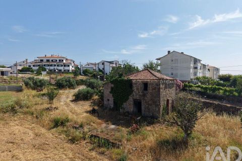 Terra a Santa Comba Dao, Viseu, Santa Comba Dao - € 75.000 | Ref: 950279 - foto 5