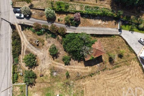 Terra a Santa Comba Dao, Viseu, Santa Comba Dao - € 75.000 | Ref: 950279 - foto 7