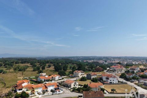 Terra a Santa Comba Dao, Viseu, Santa Comba Dao - € 75.000 | Ref: 950279 - foto 9