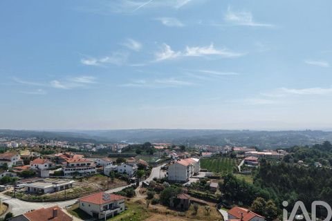 Terra a Santa Comba Dao, Viseu, Santa Comba Dao - € 75.000 | Ref: 950279 - foto 15