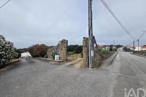 Terra a Santa Comba Dao, Viseu, Santa Comba Dao - € 75.000 | Ref: 950279 - foto 16