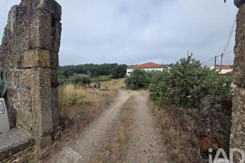 Terra a Santa Comba Dao, Viseu, Santa Comba Dao - € 75.000 | Ref: 950279 - foto 17