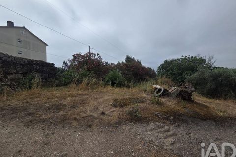 Terra a Santa Comba Dao, Viseu, Santa Comba Dao - € 75.000 | Ref: 950279 - foto 19