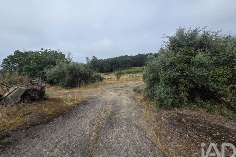 Terra a Santa Comba Dao, Viseu, Santa Comba Dao - € 75.000 | Ref: 950279 - foto 20