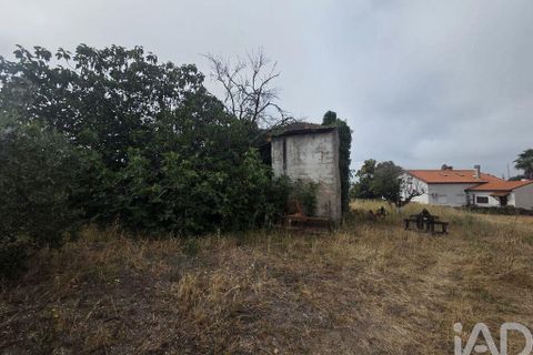 Terra a Santa Comba Dao, Viseu, Santa Comba Dao - € 75.000 | Ref: 950279 - foto 21
