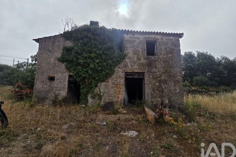Terra a Santa Comba Dao, Viseu, Santa Comba Dao - € 75.000 | Ref: 950279 - foto 22