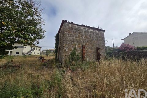Terra a Santa Comba Dao, Viseu, Santa Comba Dao - € 75.000 | Ref: 950279 - foto 23