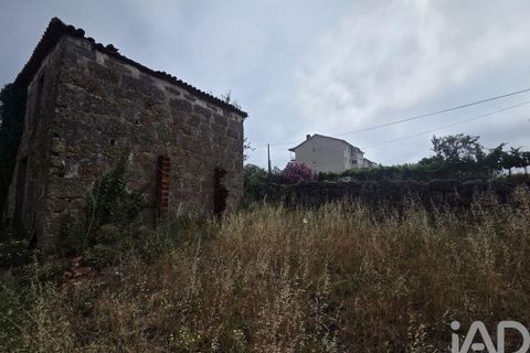 Terra a Santa Comba Dao, Viseu, Santa Comba Dao - € 75.000 | Ref: 950279 - foto 24