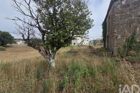 Terra a Santa Comba Dao, Viseu, Santa Comba Dao - € 75.000 | Ref: 950279 - foto 25