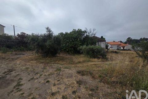 Terra a Santa Comba Dao, Viseu, Santa Comba Dao - € 75.000 | Ref: 950279 - foto 30
