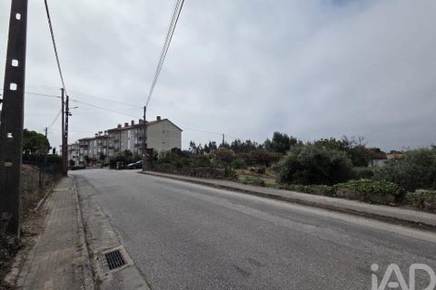 Terra a Santa Comba Dao, Viseu, Santa Comba Dao - € 75.000 | Ref: 950279 - foto 31