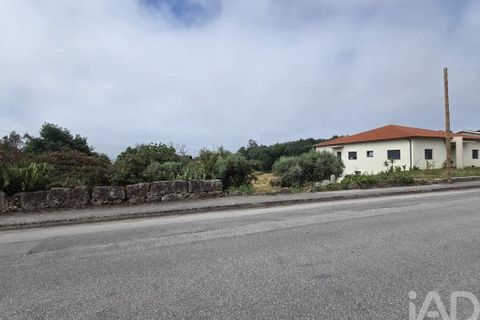 Terra a Santa Comba Dao, Viseu, Santa Comba Dao - € 75.000 | Ref: 950279 - foto 32