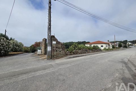 Terra a Santa Comba Dao, Viseu, Santa Comba Dao - € 75.000 | Ref: 950279 - foto 33