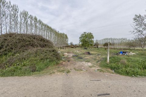 Tomt i Fuente Vaqueros, Granada, Fuente Vaqueros - € 13 500 | Ref: RFFogarilesJL/8251 - foto 4