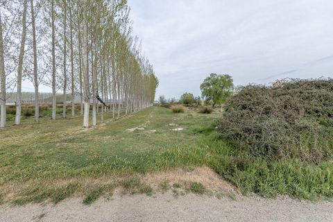 Tomt i Fuente Vaqueros, Granada, Fuente Vaqueros - € 13 500 | Ref: RFFogarilesJL/8251 - foto 5