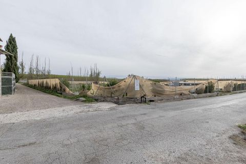 Tomt i Fuente Vaqueros, Granada, Fuente Vaqueros - € 13 500 | Ref: RFFogarilesJL/8251 - foto 11